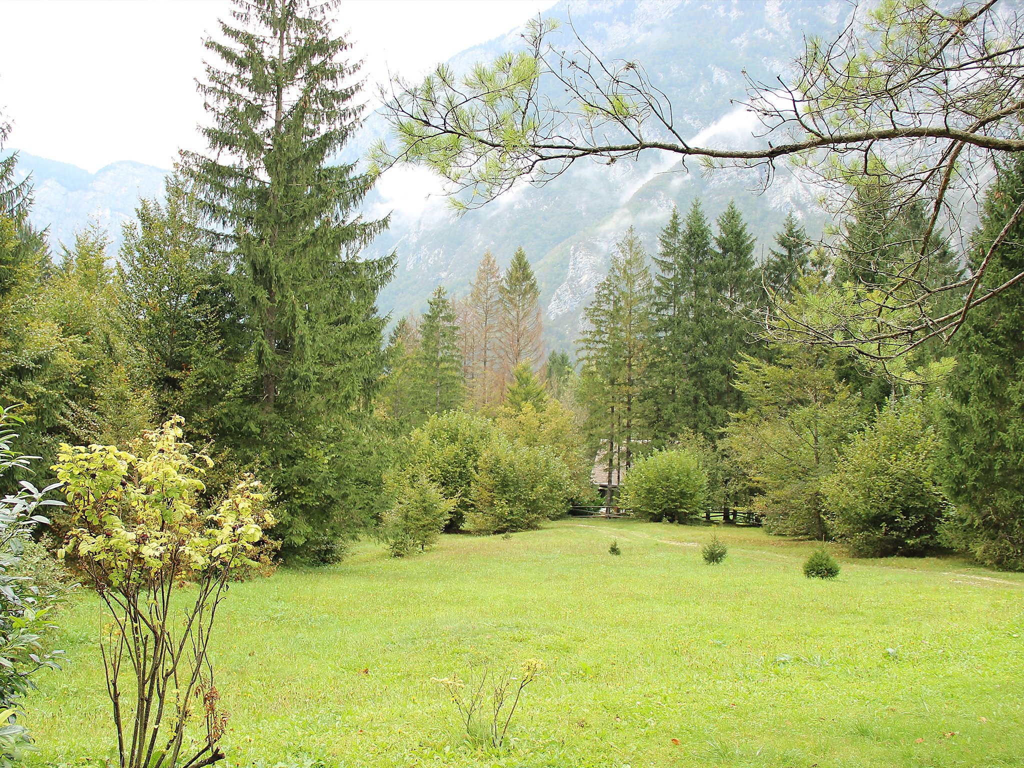 Photo of Savica