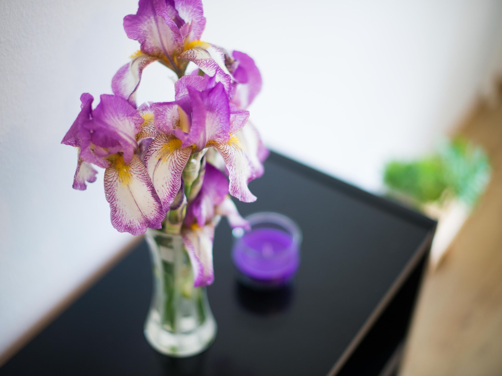 Appartement in Zasip mit Möblierter Terrasse-Binnen