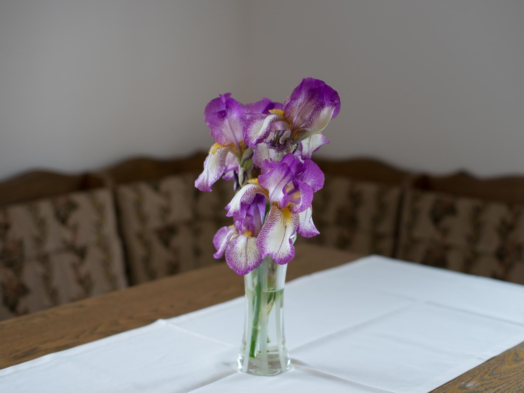 Appartement in Zasip mit Möblierter Terrasse-Binnen