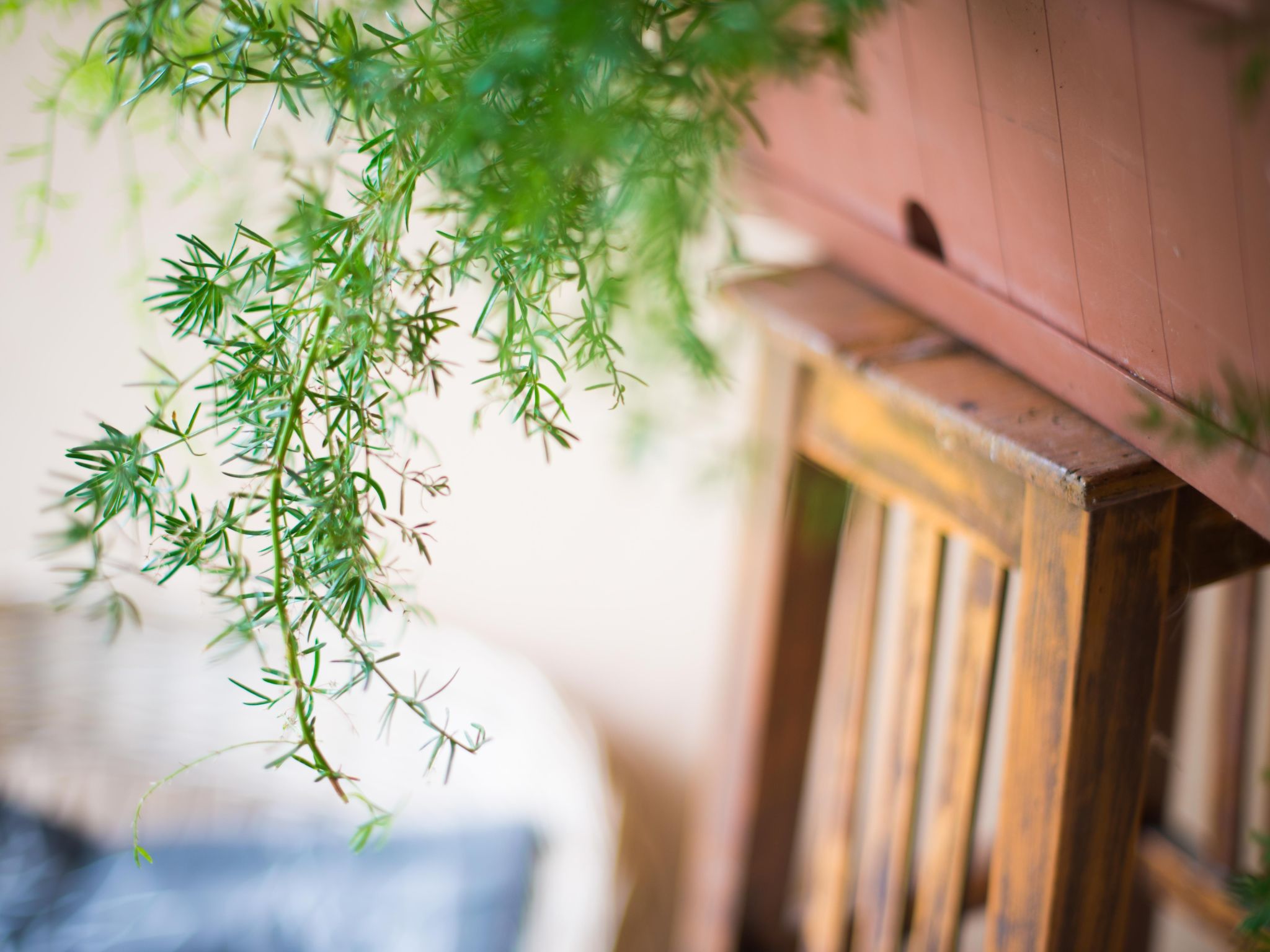 Appartement in Zasip mit Möblierter Terrasse-Binnen