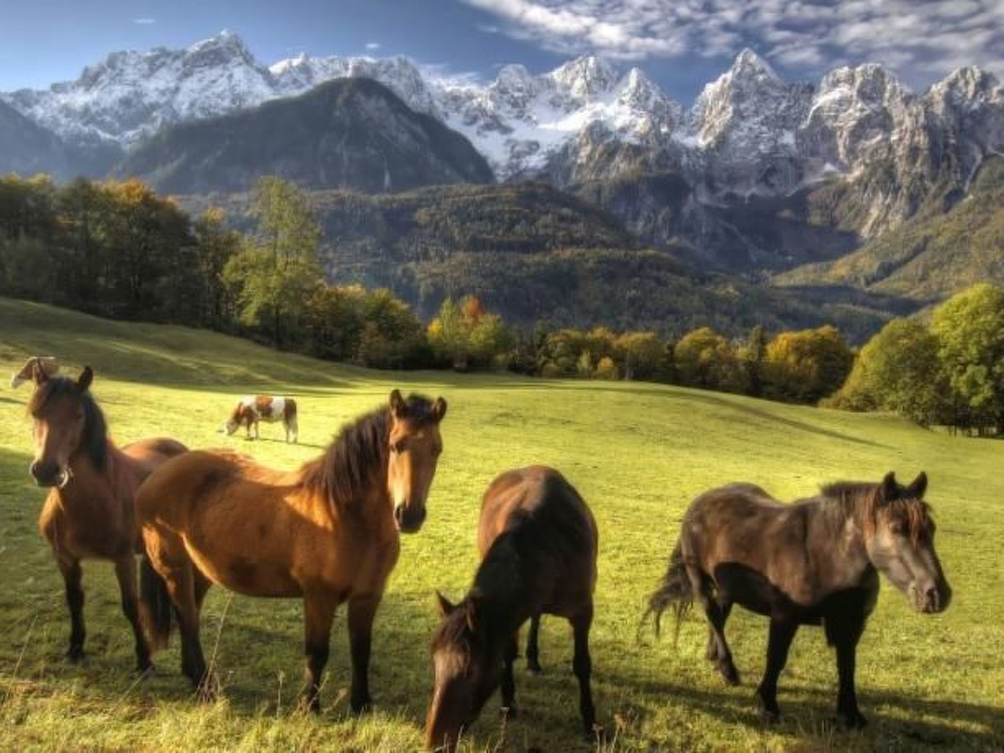 Tolle Ferienwohnung in Zasip mit Parkplatz-Binnen