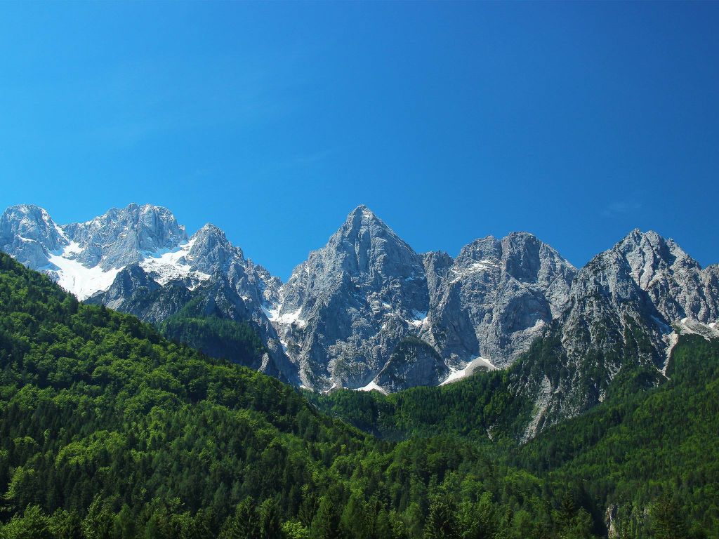 Bild 13