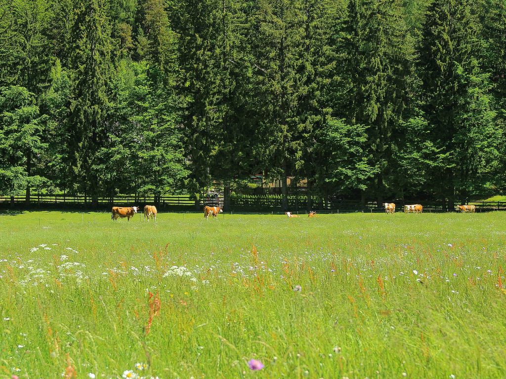 Bild 14