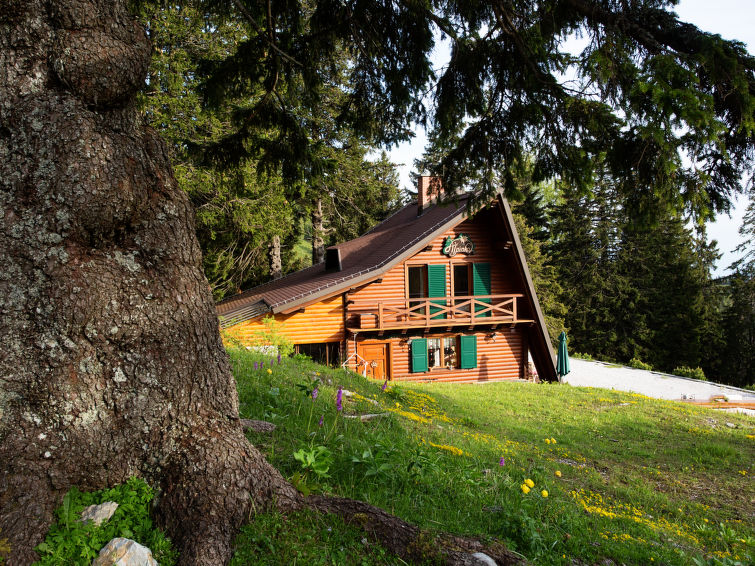 Photo of Chalet Alpinka