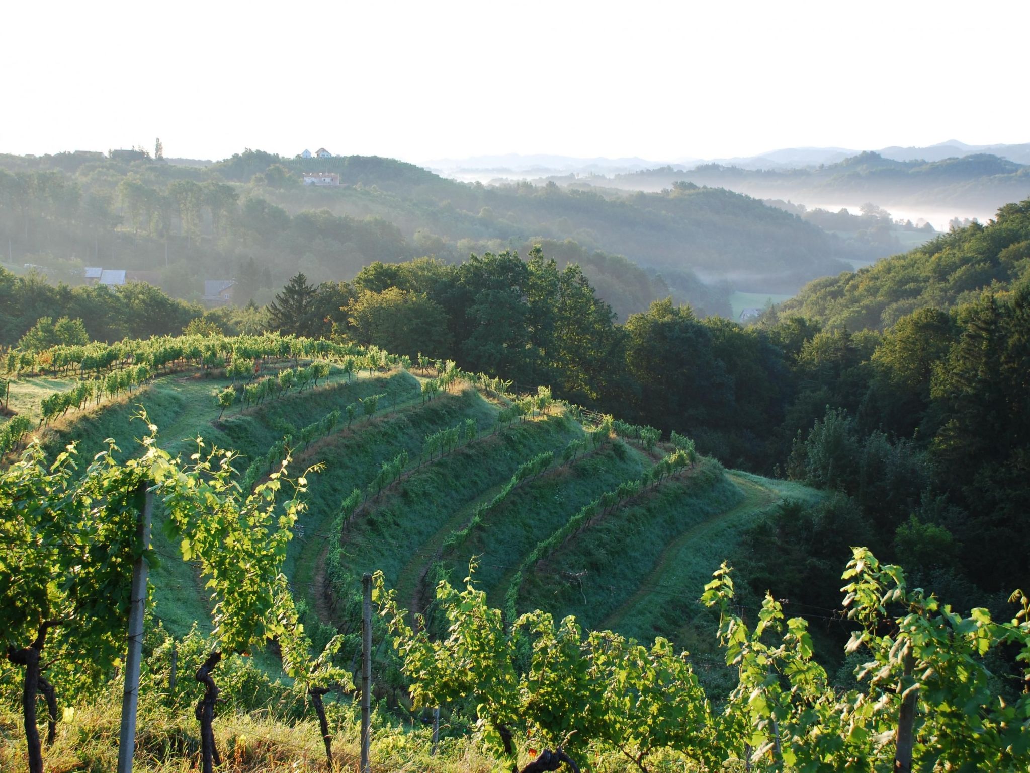 Für 8 Personen  + 4 Kinder ca. 200 m&sup2; in Ptuj, Untersteiermark (Drau Slowe