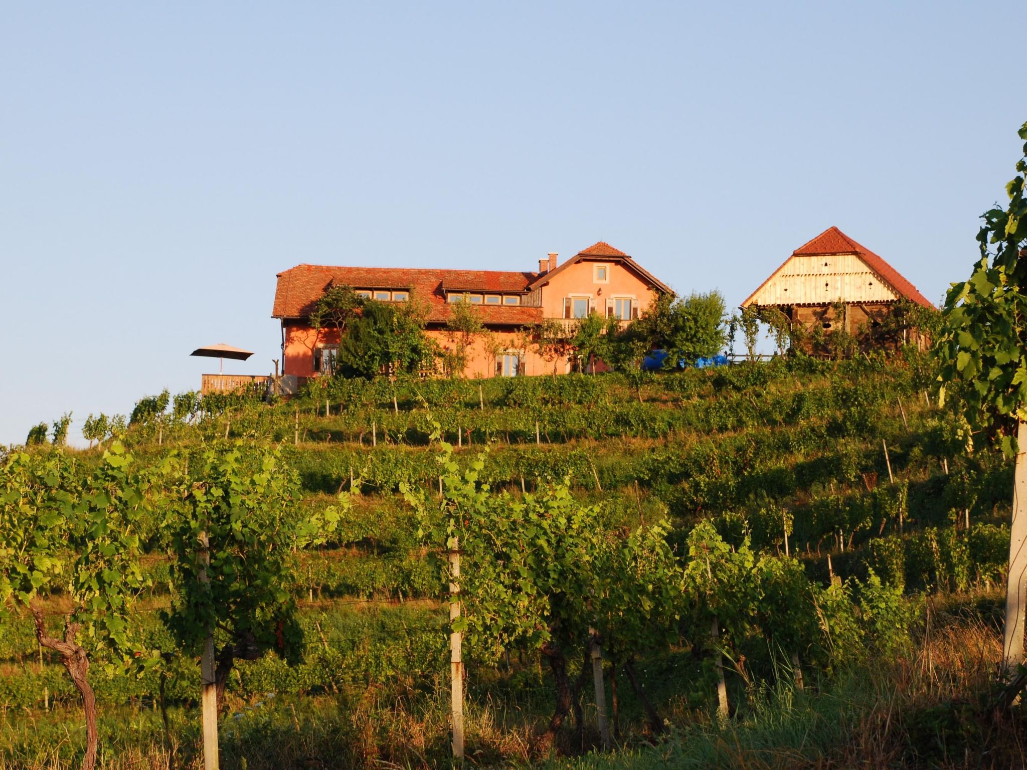 Für 8 Personen  + 4 Kinder ca. 200 m&sup2; in Ptuj, Untersteiermark (Drau Slowe-Image-tags.info