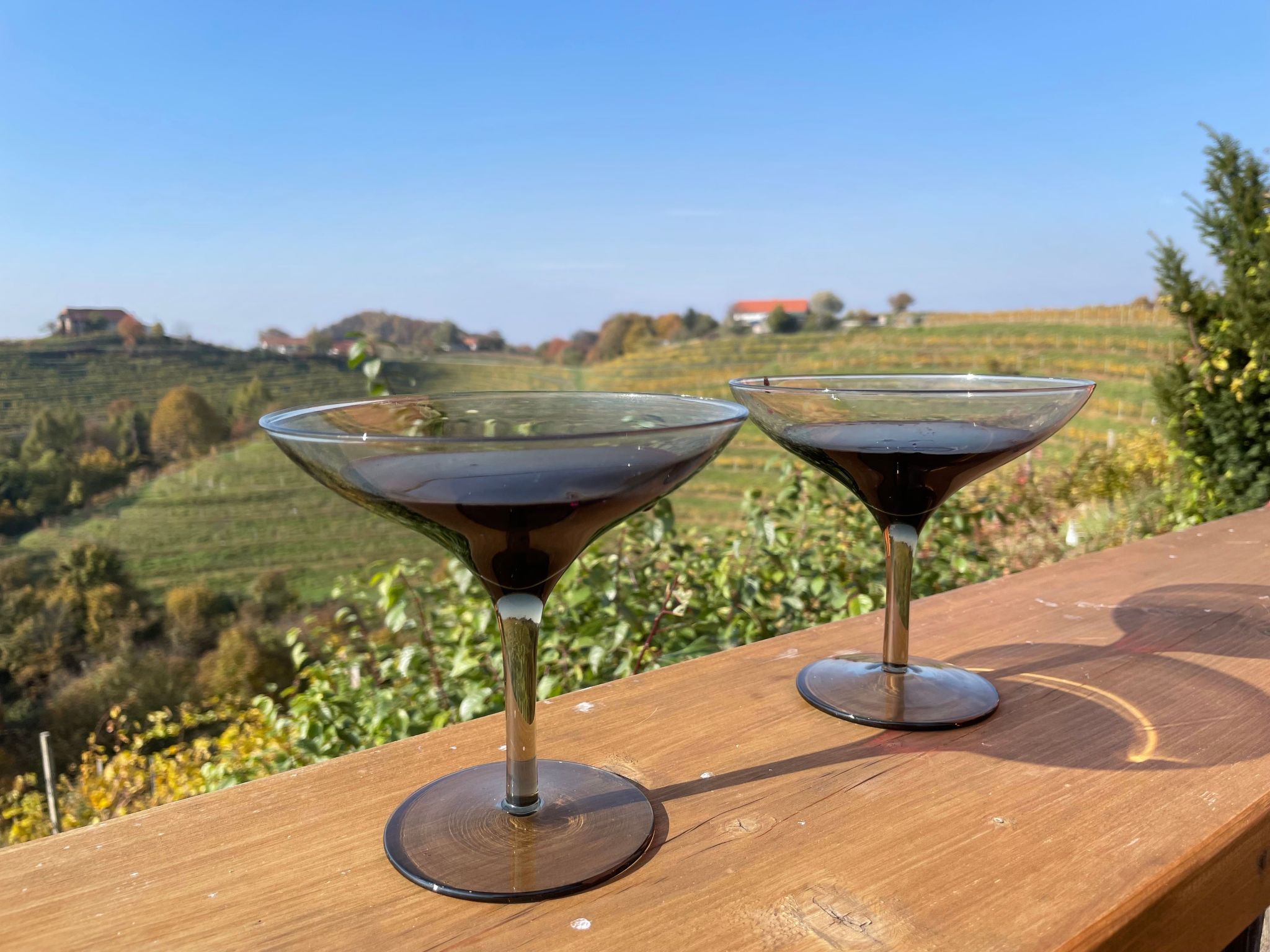 Für 8 Personen  + 4 Kinder ca. 200 m&sup2; in Ptuj, Untersteiermark (Drau Slowe-Outside