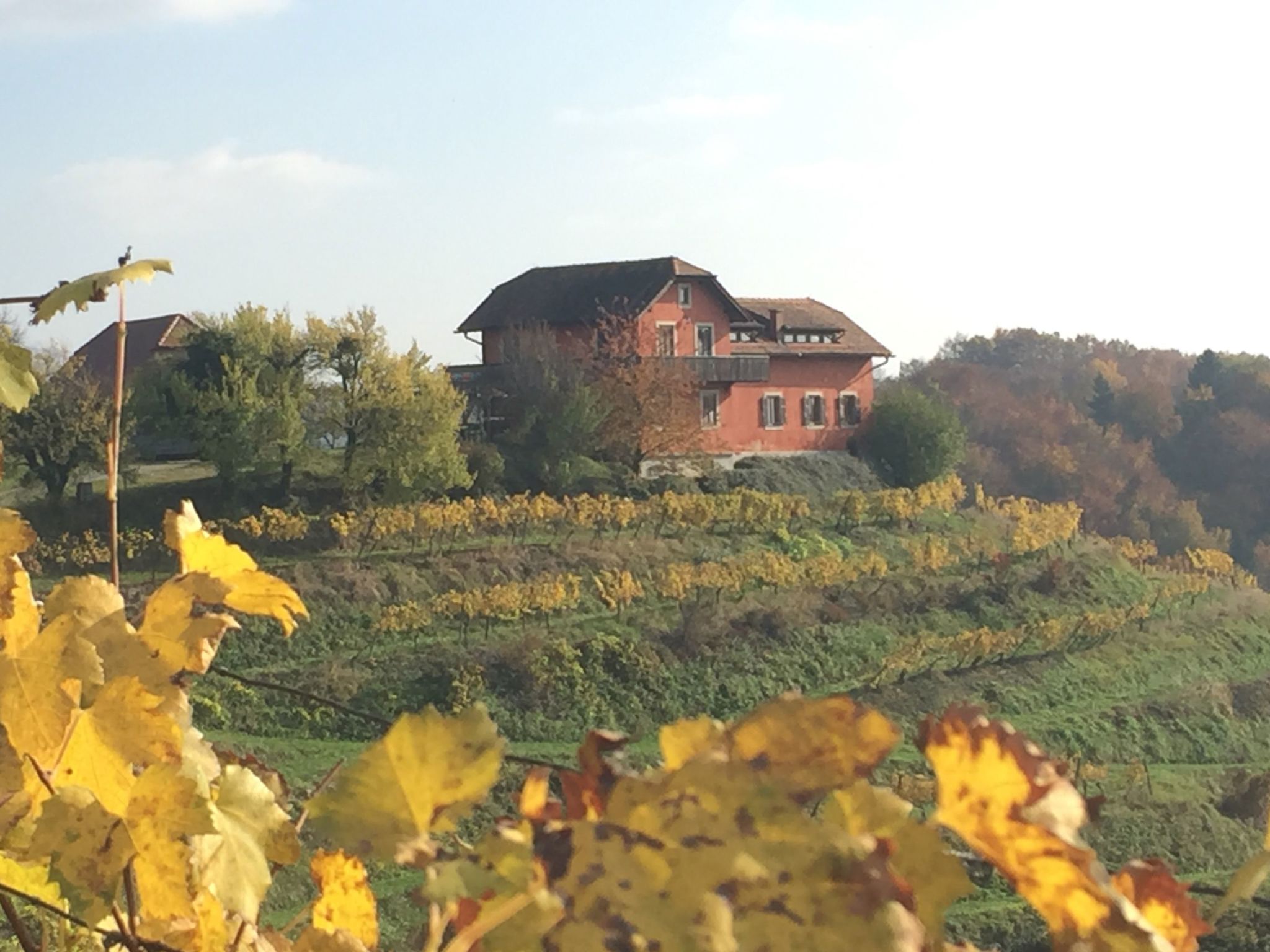 Für 8 Personen  + 4 Kinder ca. 200 m&sup2; in Ptuj, Untersteiermark (Drau Slowe-Outside