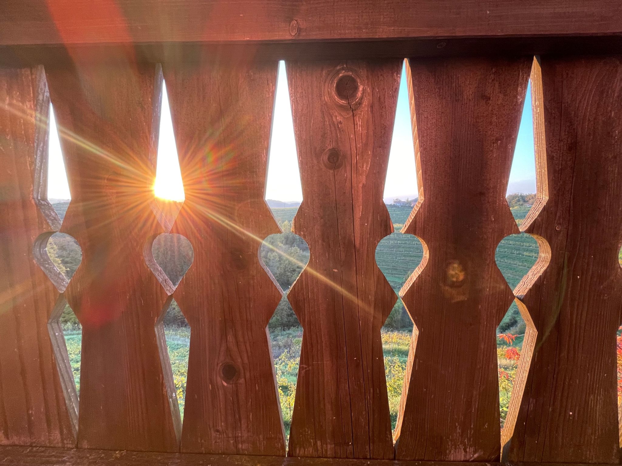 Für 8 Personen  + 4 Kinder ca. 200 m&sup2; in Ptuj, Untersteiermark (Drau Slowe-Outside