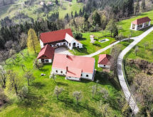 Ruim appartement in historisch Rezidenca Korman in Fala - thumbnail 5
