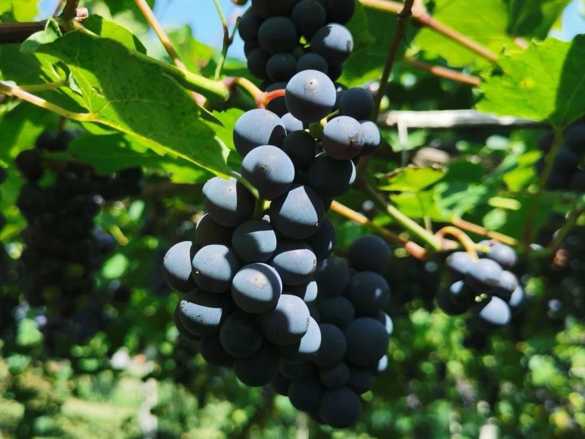 Urlaub für die Seele - Ferienhaus mit Sauna-Image-tags.info