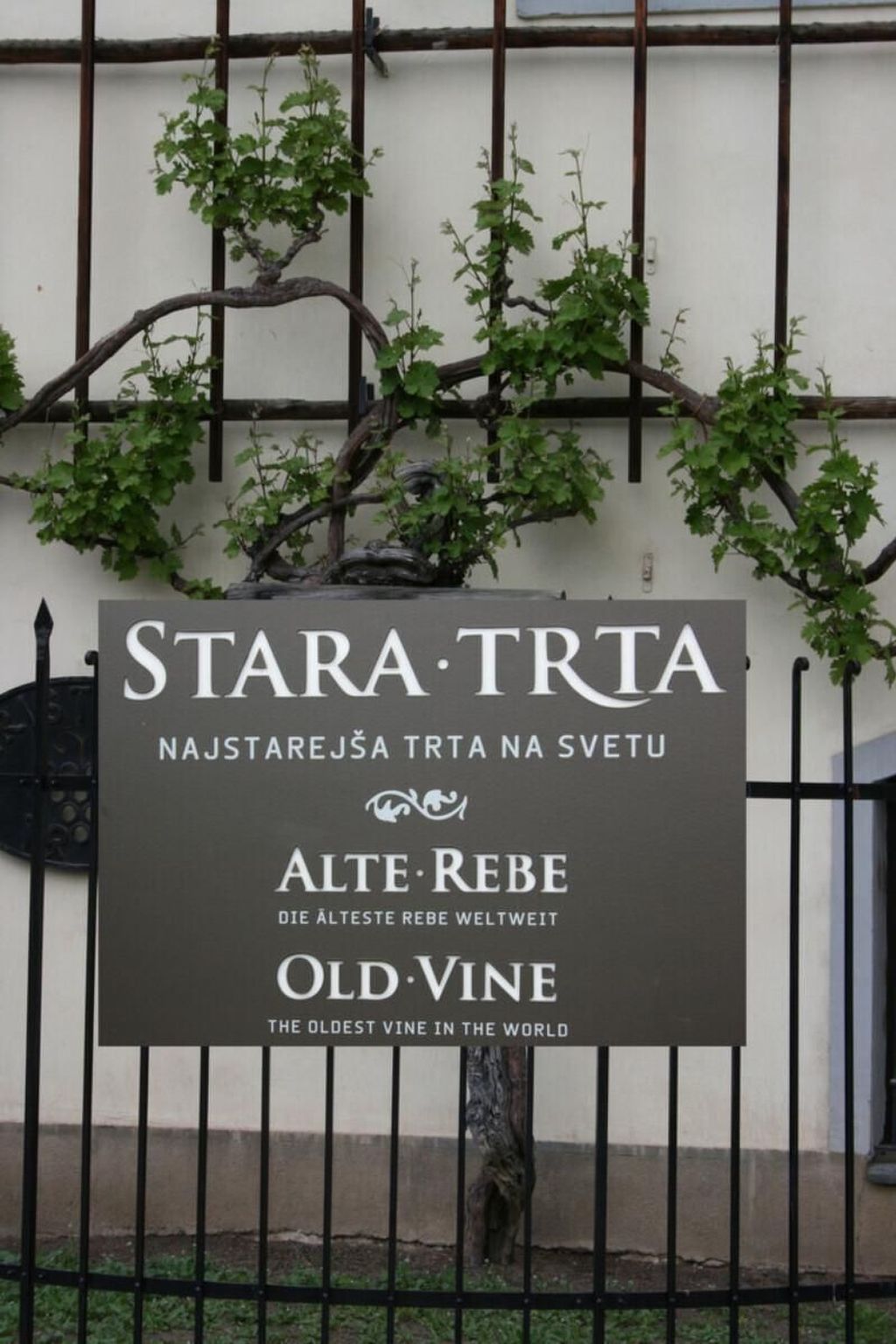 Urlaub für die Seele - Ferienhaus mit Sauna-Image-tags.info