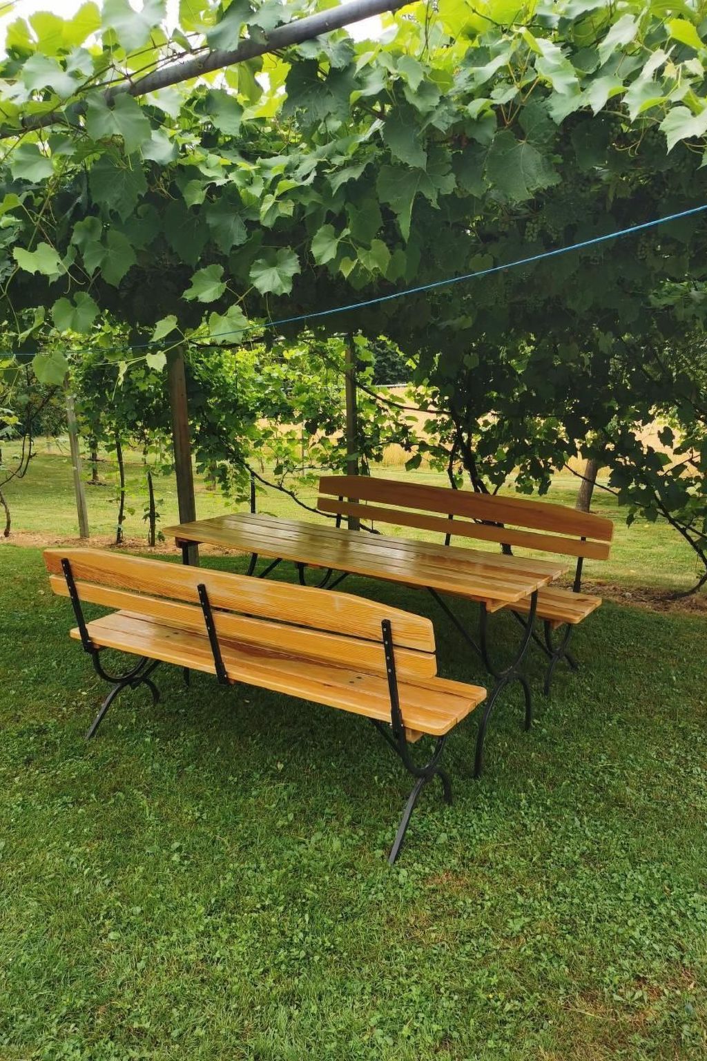 Saunagenot en rust in vrijstaand vakantiehuis Sveti Kriz, Slovenië - foto 45