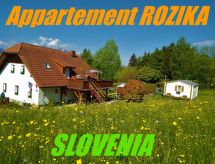 4-persoons appartement Wohnung Rozika in Slovenj Gradec - thumbnail 1