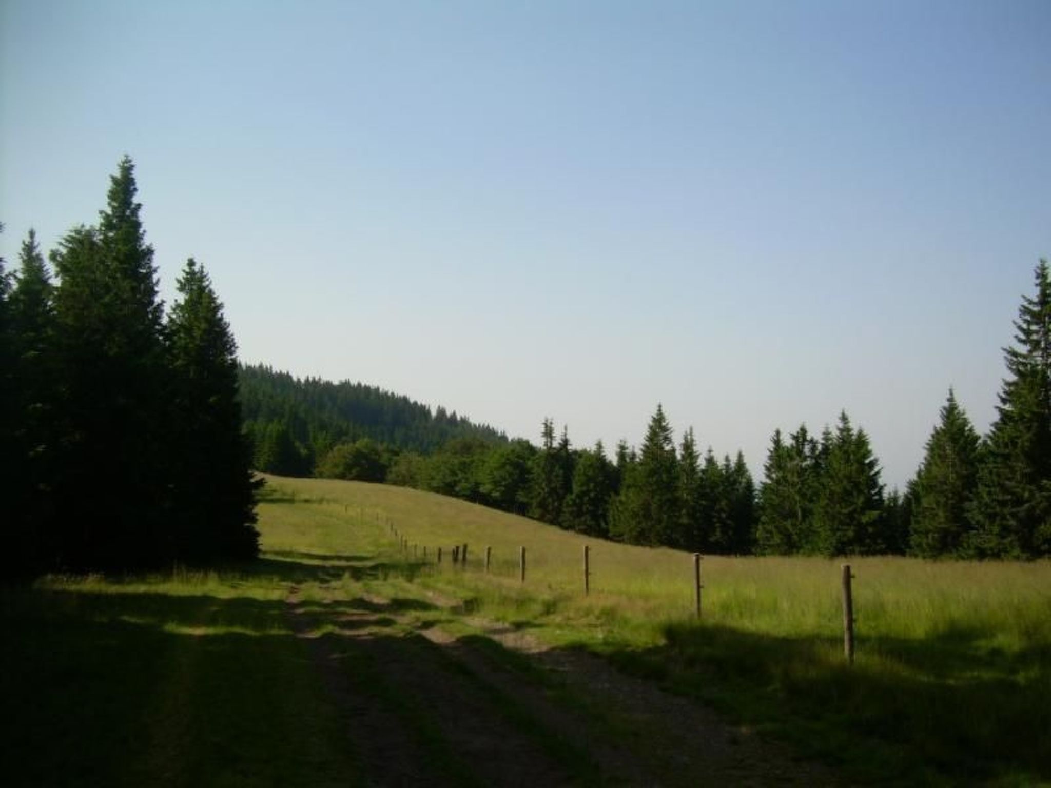 Wohnung Rozika-Image-tags.info