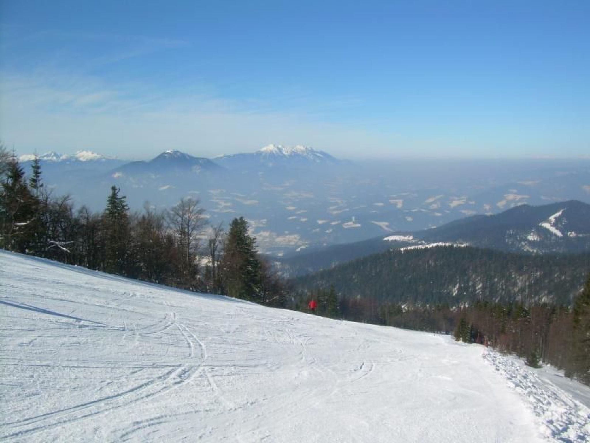 Wohnung Rozika-Image-tags.info