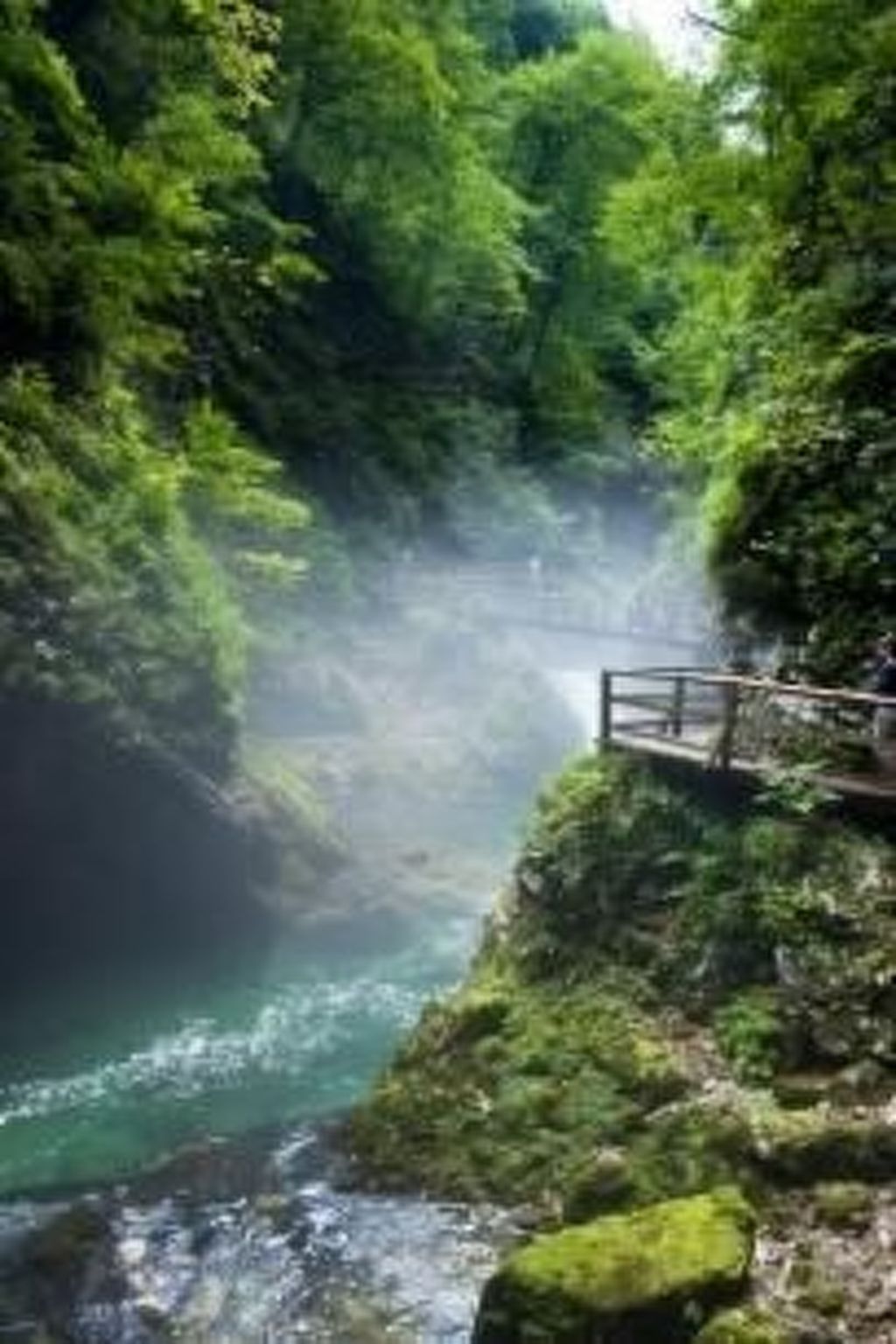 Wohnung Rozika-Image-tags.info