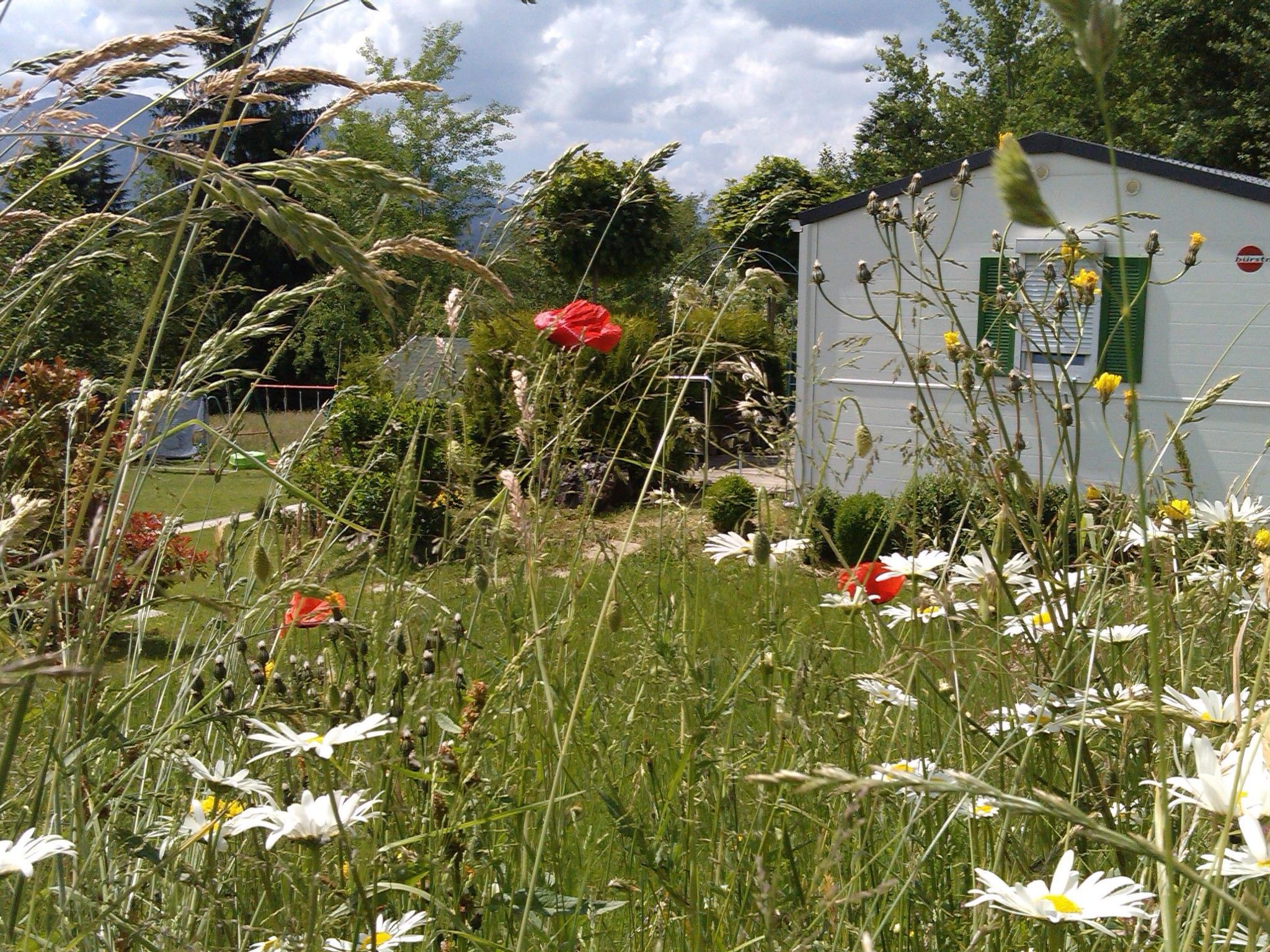 Appartement Wohnung Rozika ****, Slovenj Gradec