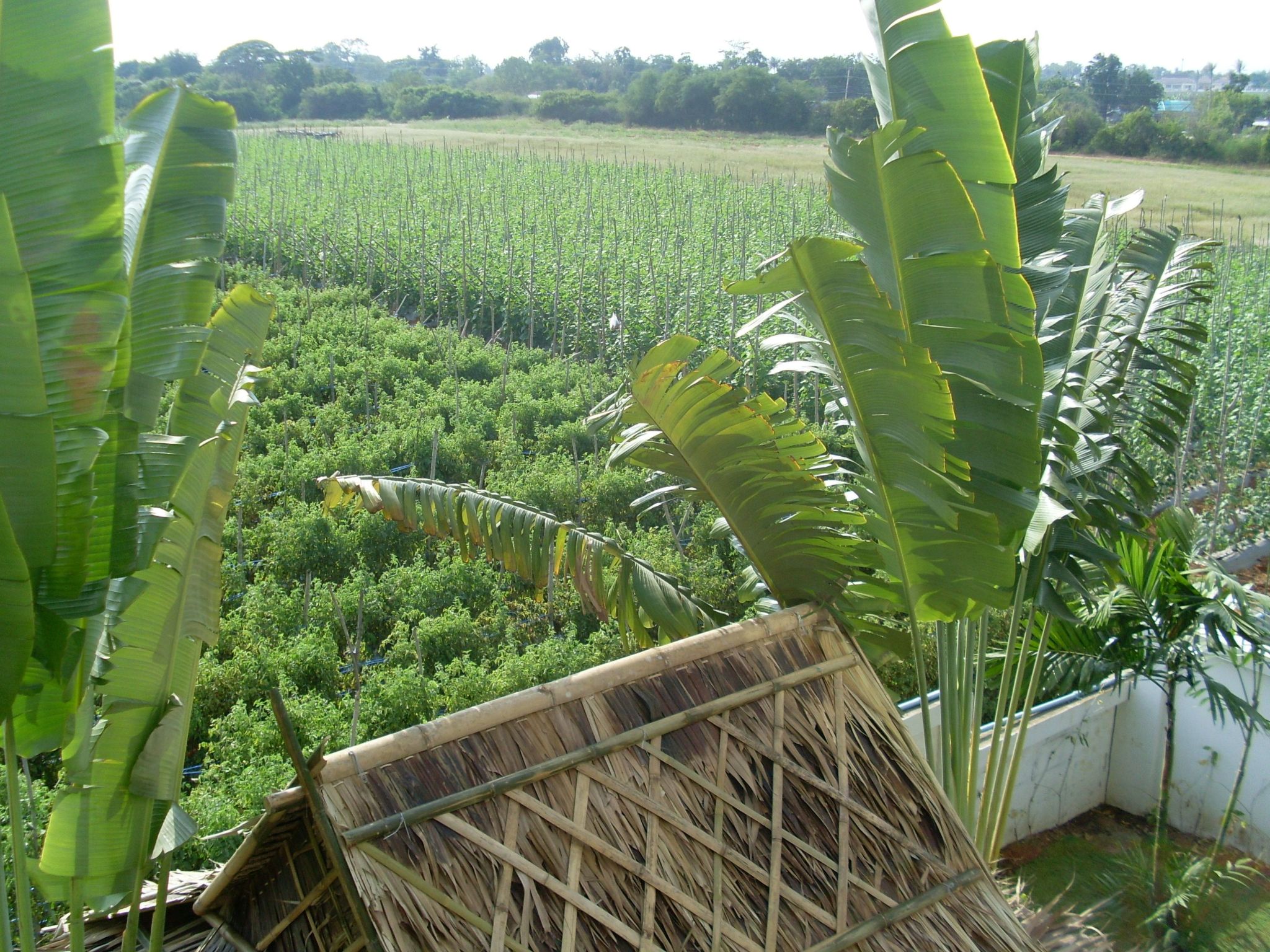 Moderne Ferienvilla zwischen Hügeln und Meer