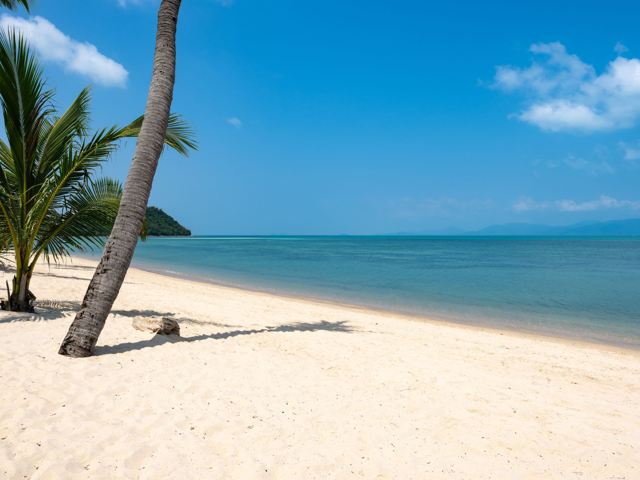 Photo of Pool Villa Matisse