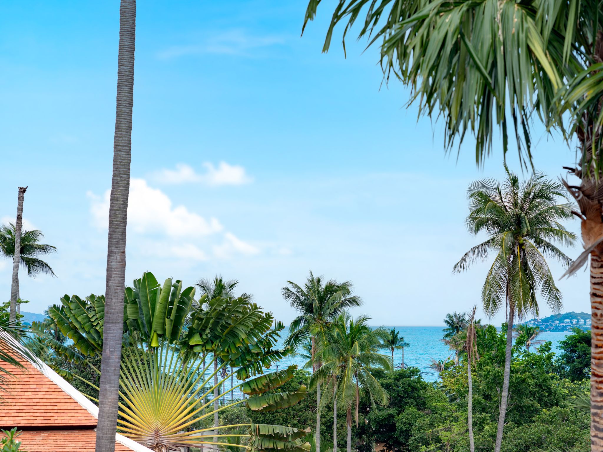 Photo of Pool Villa Matisse