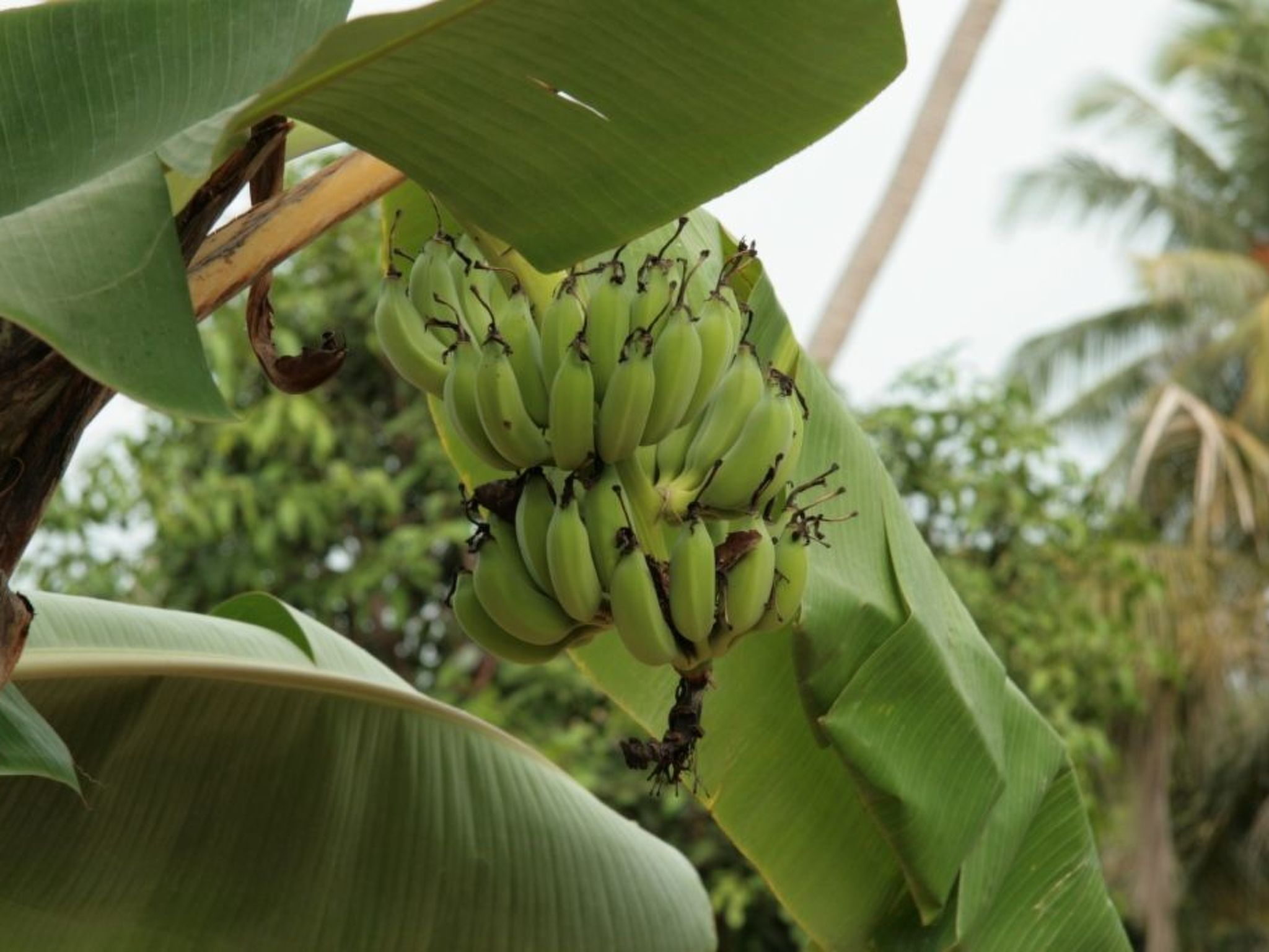 Photo of Ferienvilla mit Garten, Grill und Terrasse