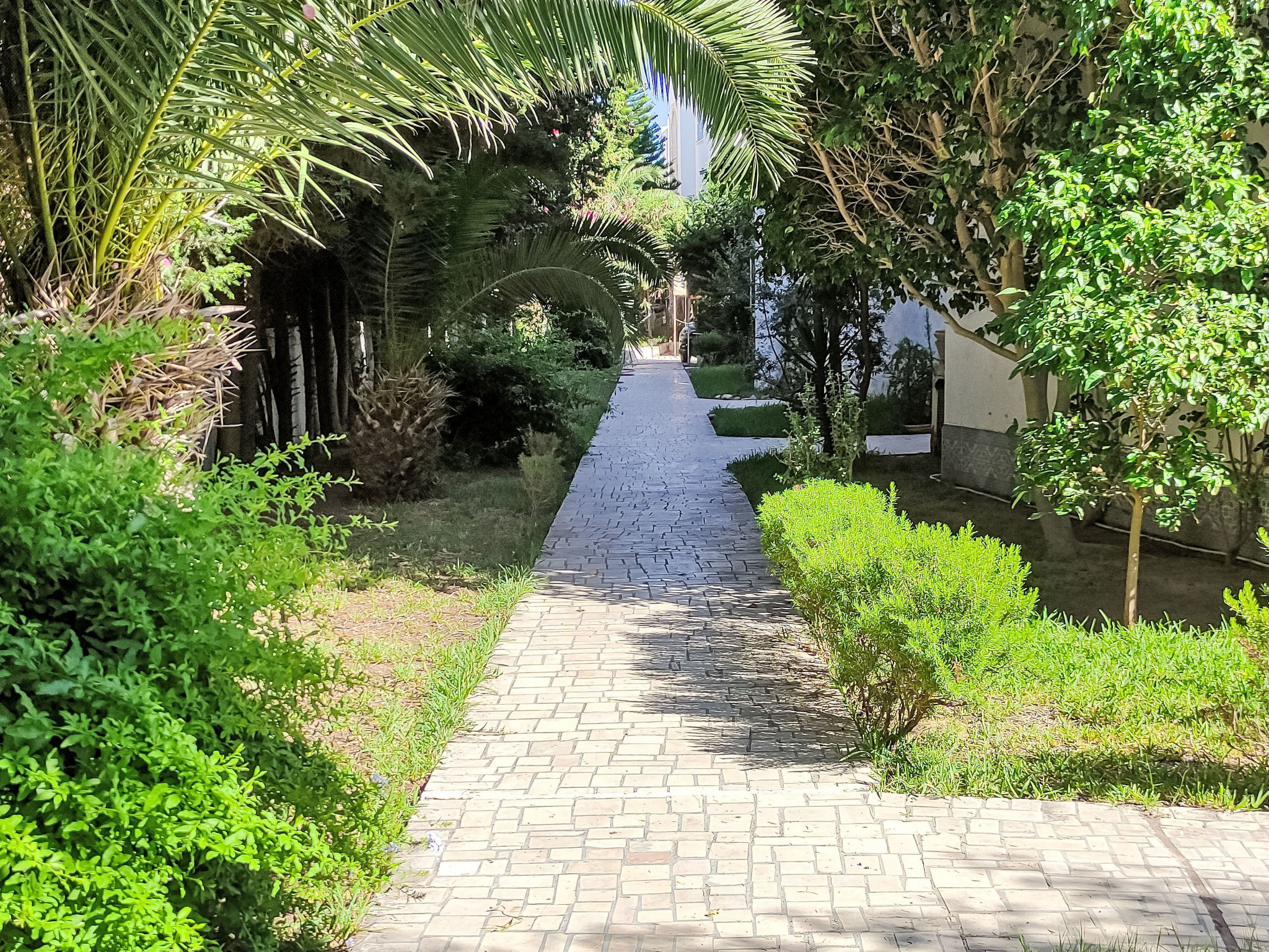 Appartement Yasmine Hammamet – Extérieur de la maison, photo 2 sur 22