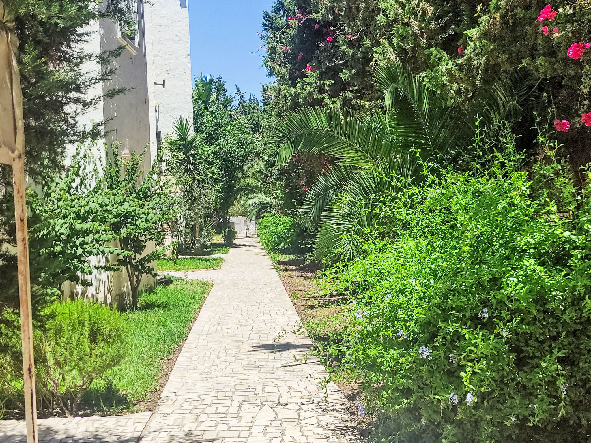 Appartement Yasmine Hammamet – Extérieur de la maison, photo 4 sur 22