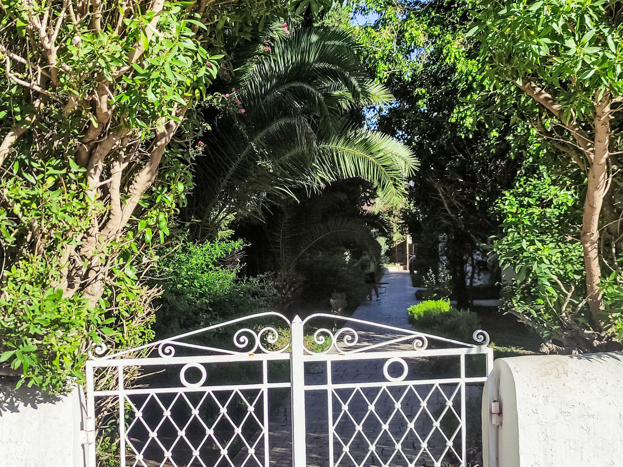 "Yasmine Hammamet", appartement 2-kamers 105 m2. Woonkamer met TV. 1 kamer met 2 bedden. (oven, Gasfornuis, 4 kookpitten (vlammen), waterkoker, magnetron, elektrische koffiemachine). Bad/WC. Balkon 10..