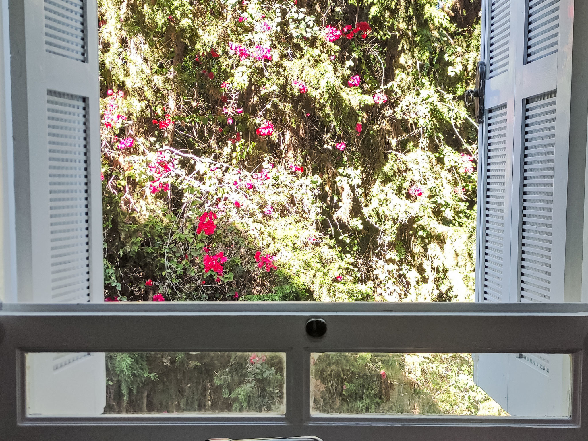 Appartement Yasmine Hammamet – Extérieur de la maison, photo 19 sur 22