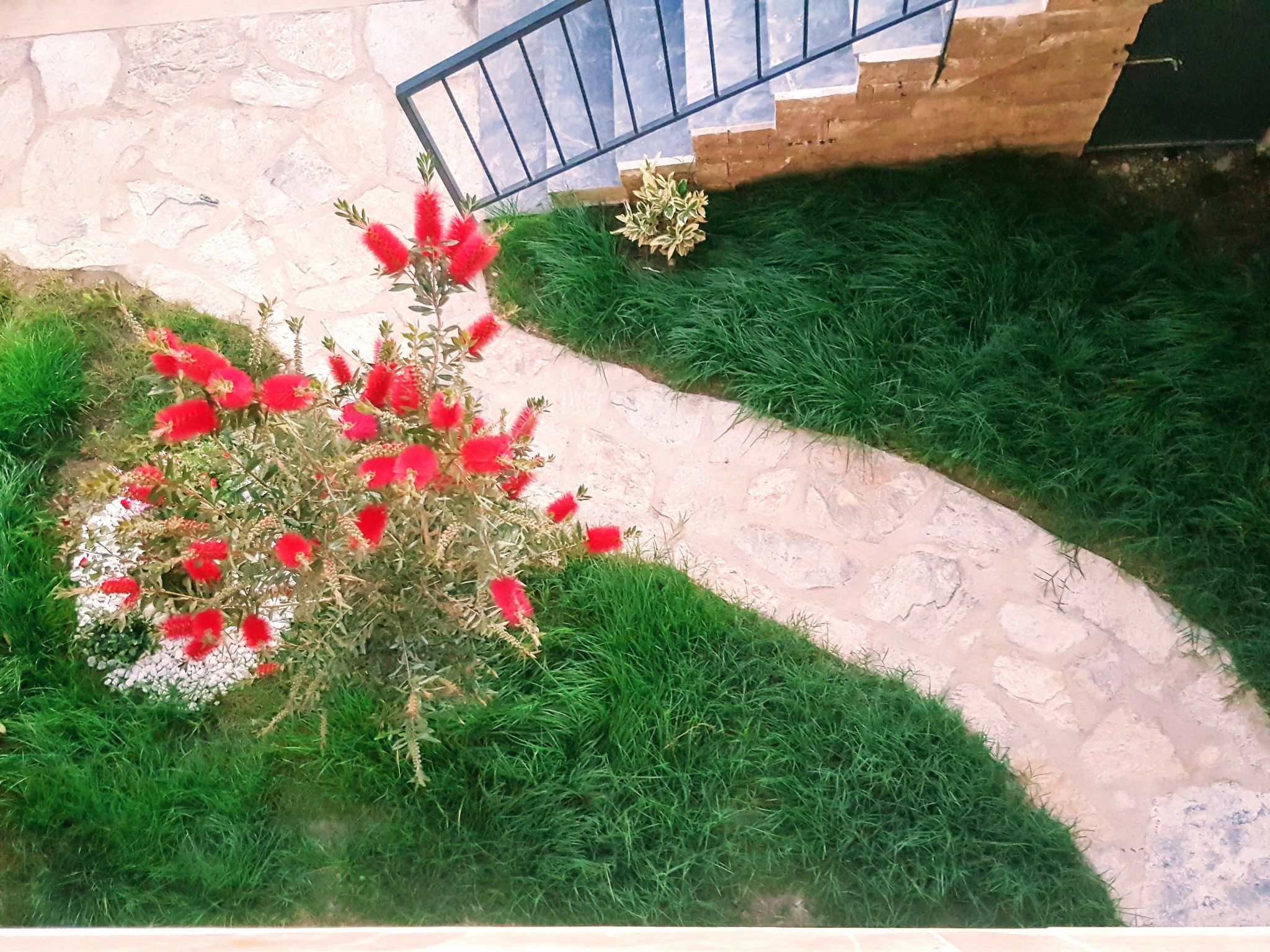 Berghütte mit eigenem Pool - Buiten