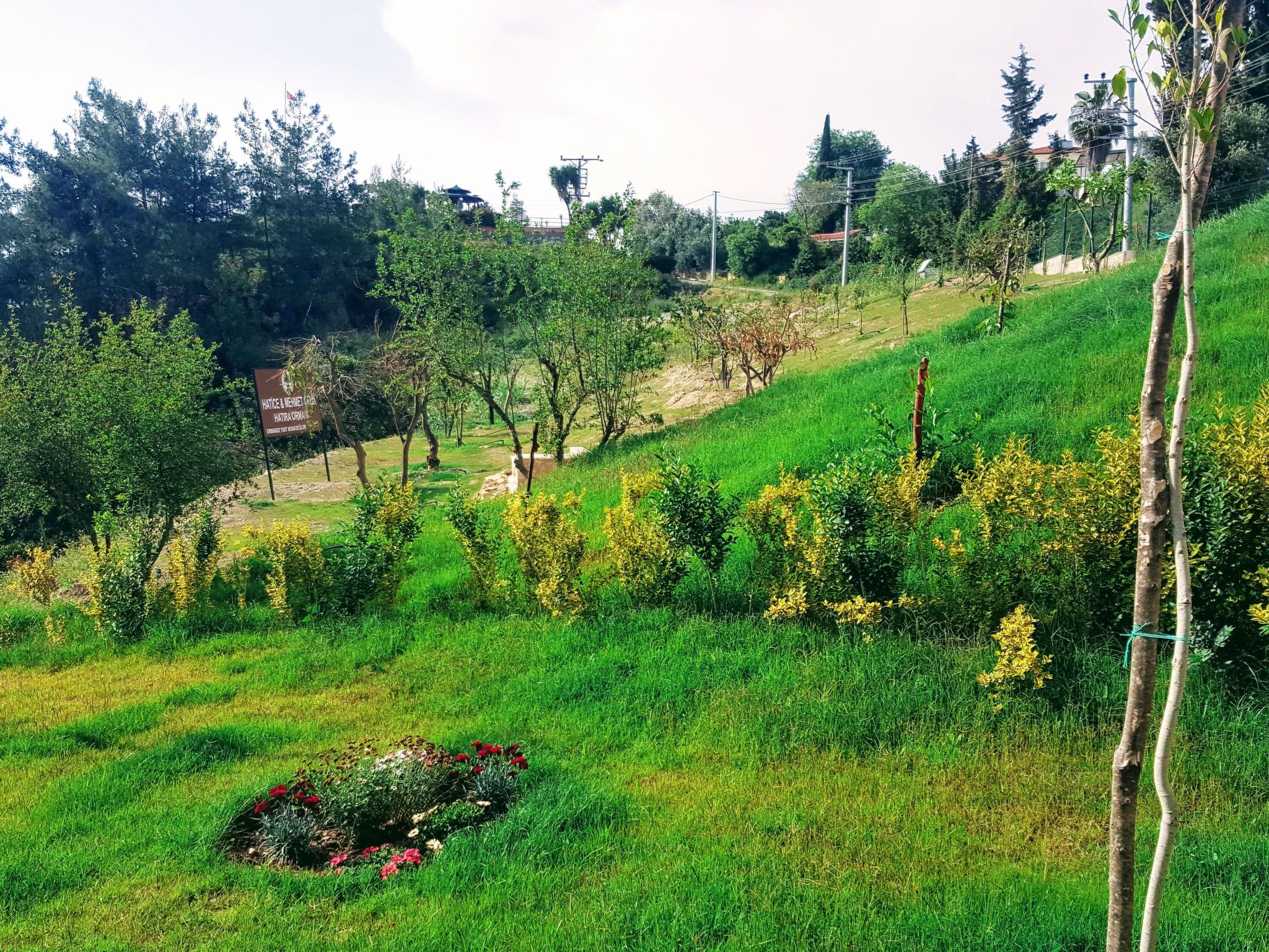 Berghütte mit eigenem Pool - Buiten