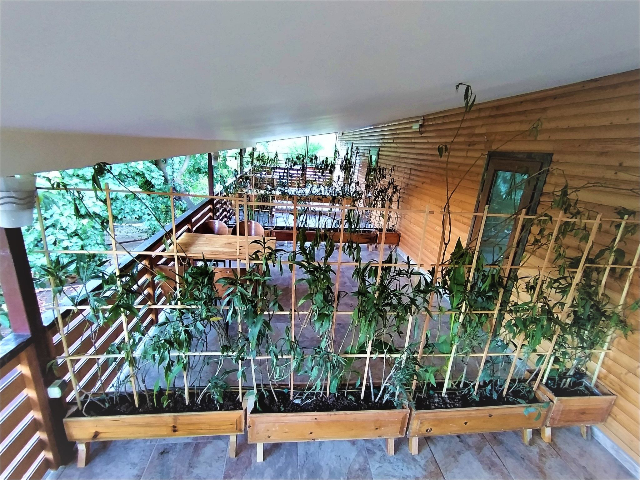 Luxuriöse Duplex-Wohnungen in Cirali — Terrace (2 of 33)