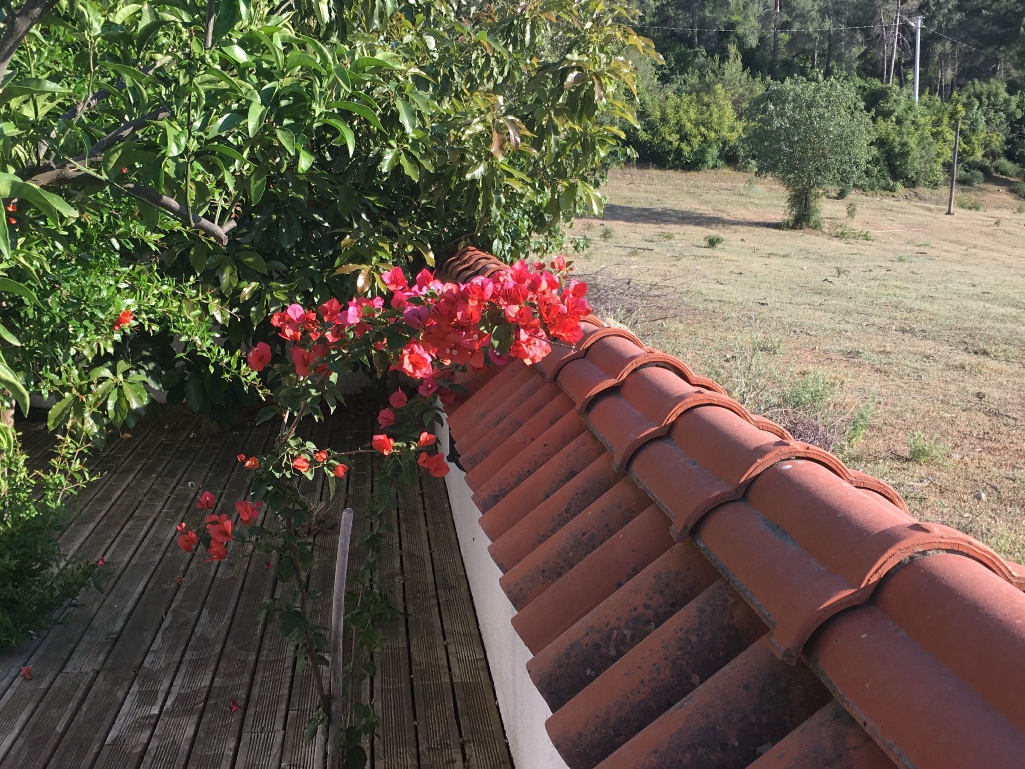 Finca mit Garten, Grill und Terrasse-Buiten