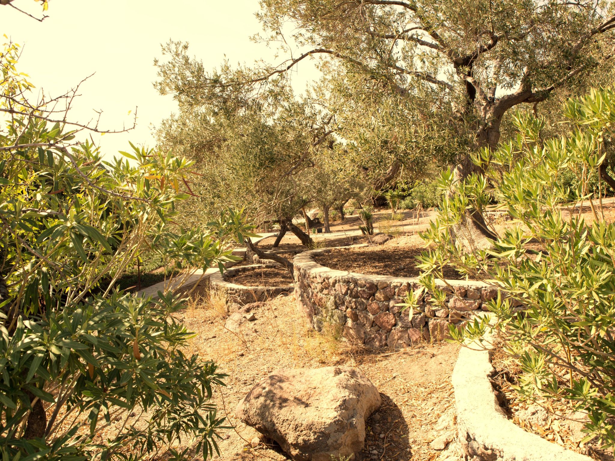 Assos Sivrice Gästehaus-Buiten