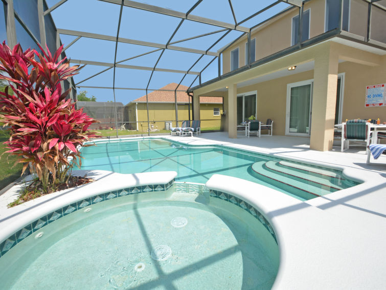 Loma-asunto Coral Vine