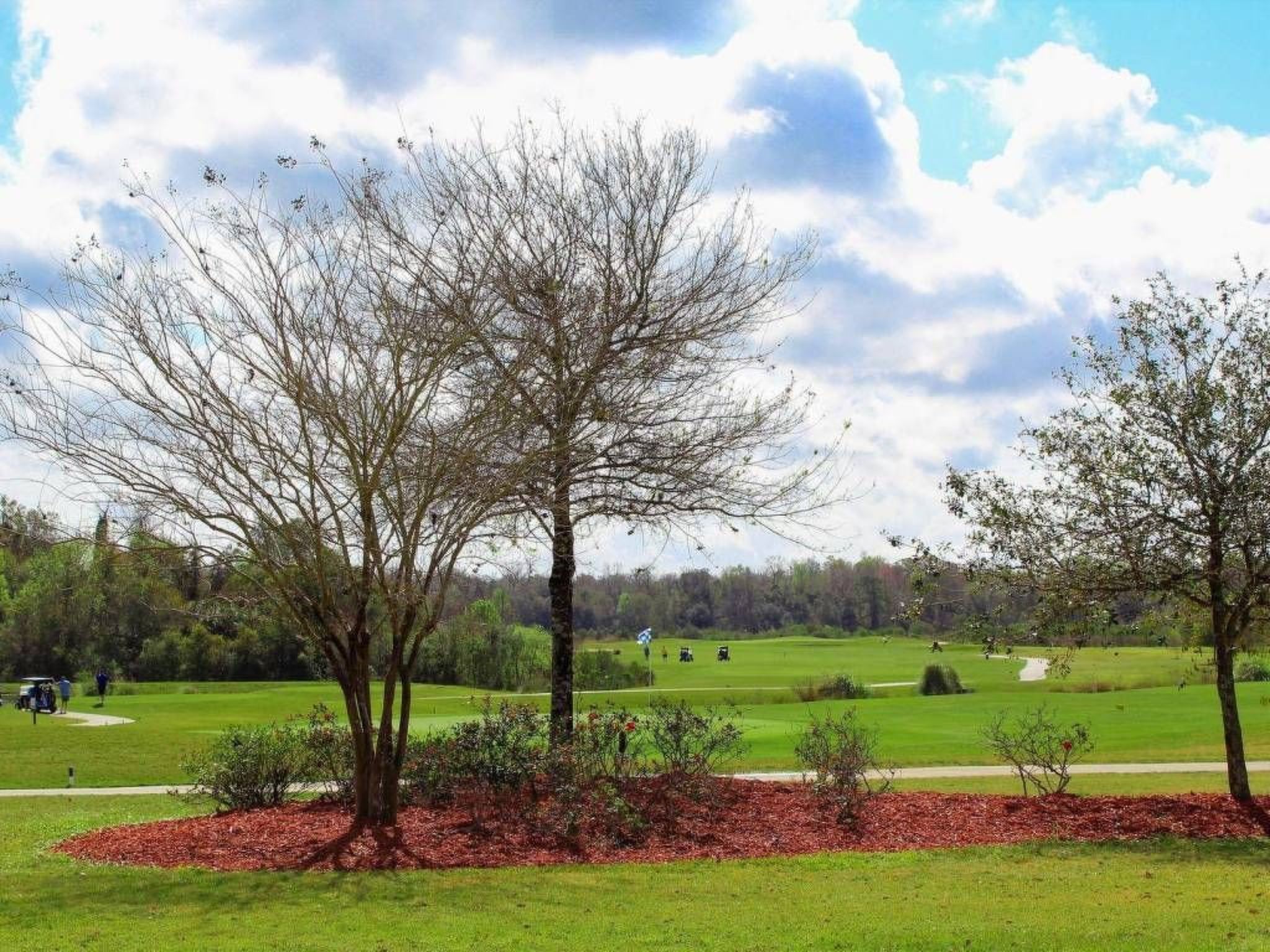 Photo of in Davenport mit Pool in Südlage und herrlicher Aussicht