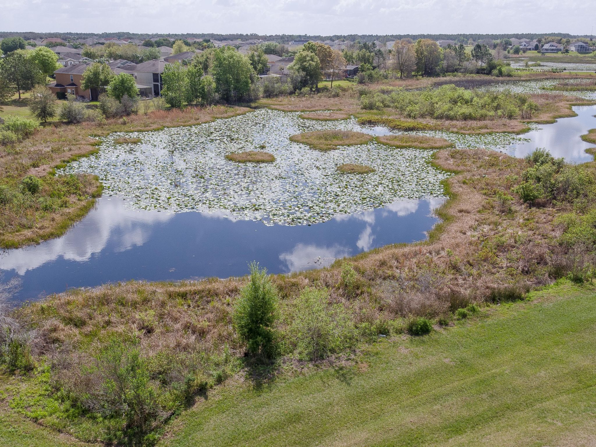 Photo of Haus in Davenport mit privatem Pool und Blick auf das Naturschutzgebiet