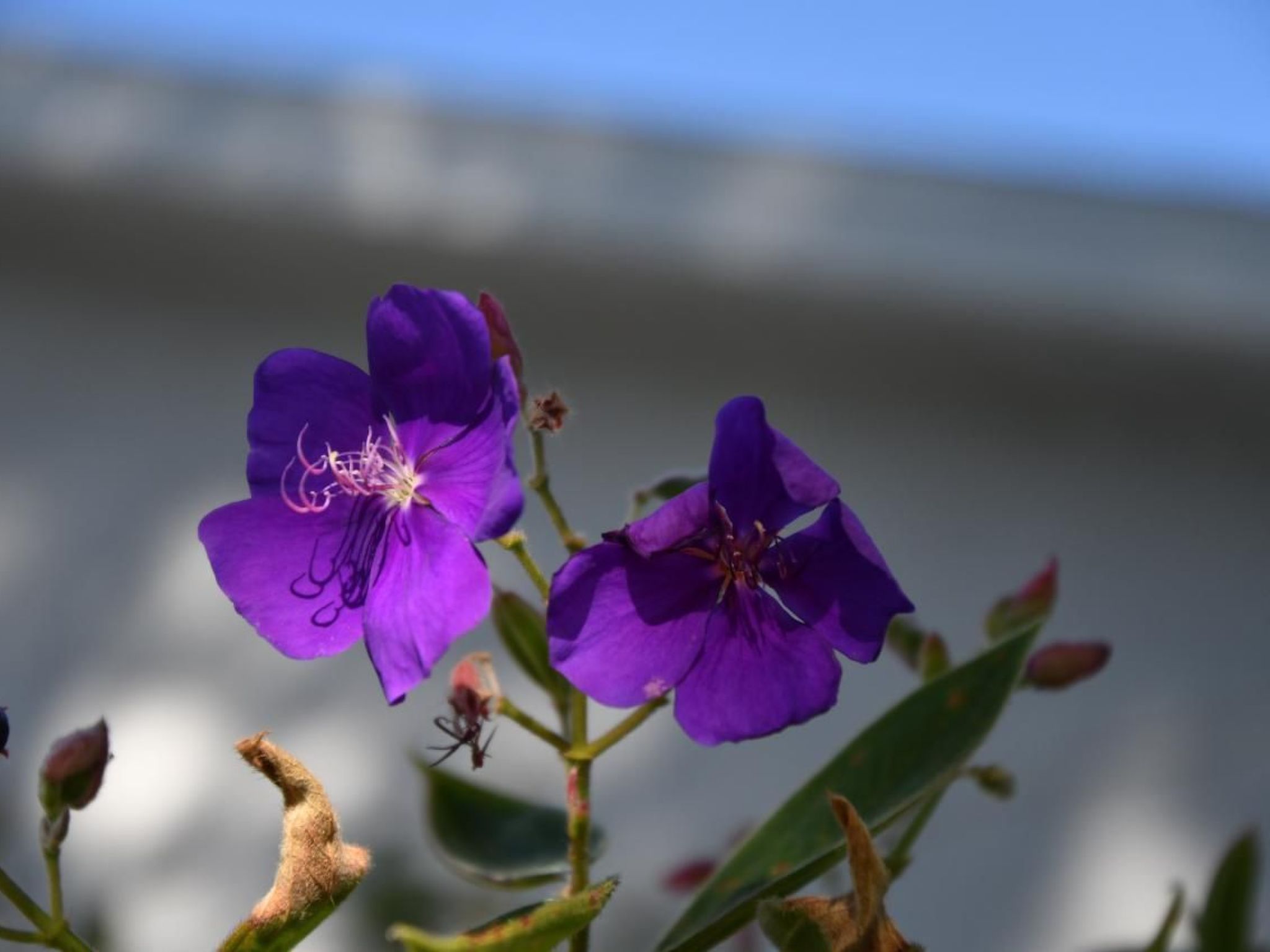 Photo of Familienfreundliche Villa nahe der Disney-Parks