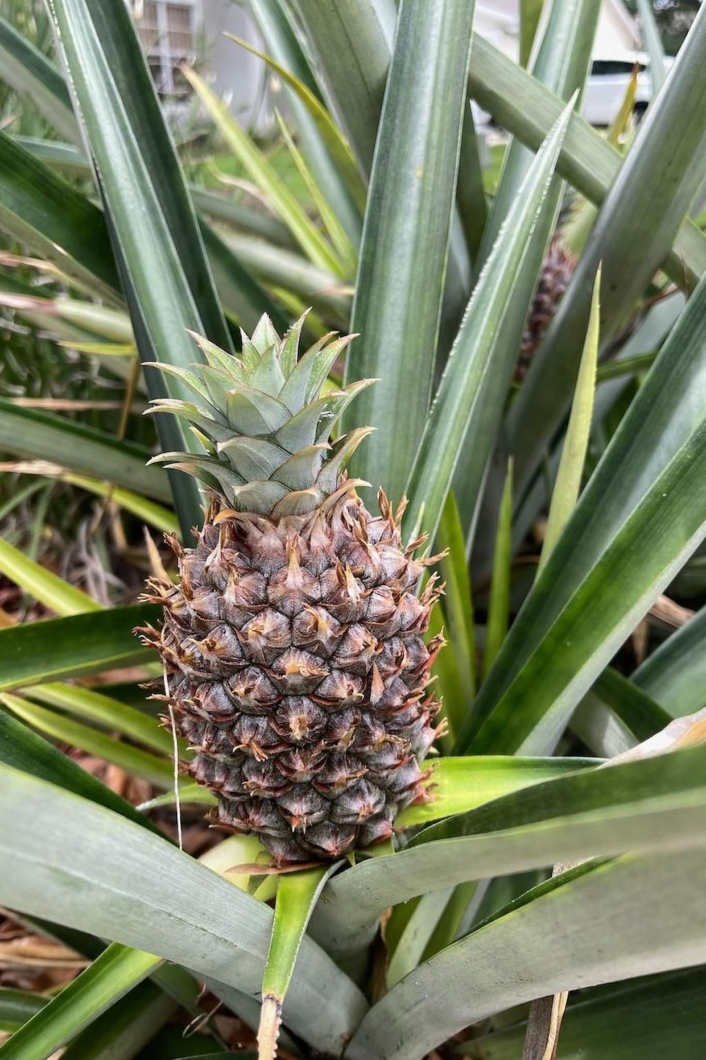 Photo of Familienfreundliche Villa nahe der Disney-Parks