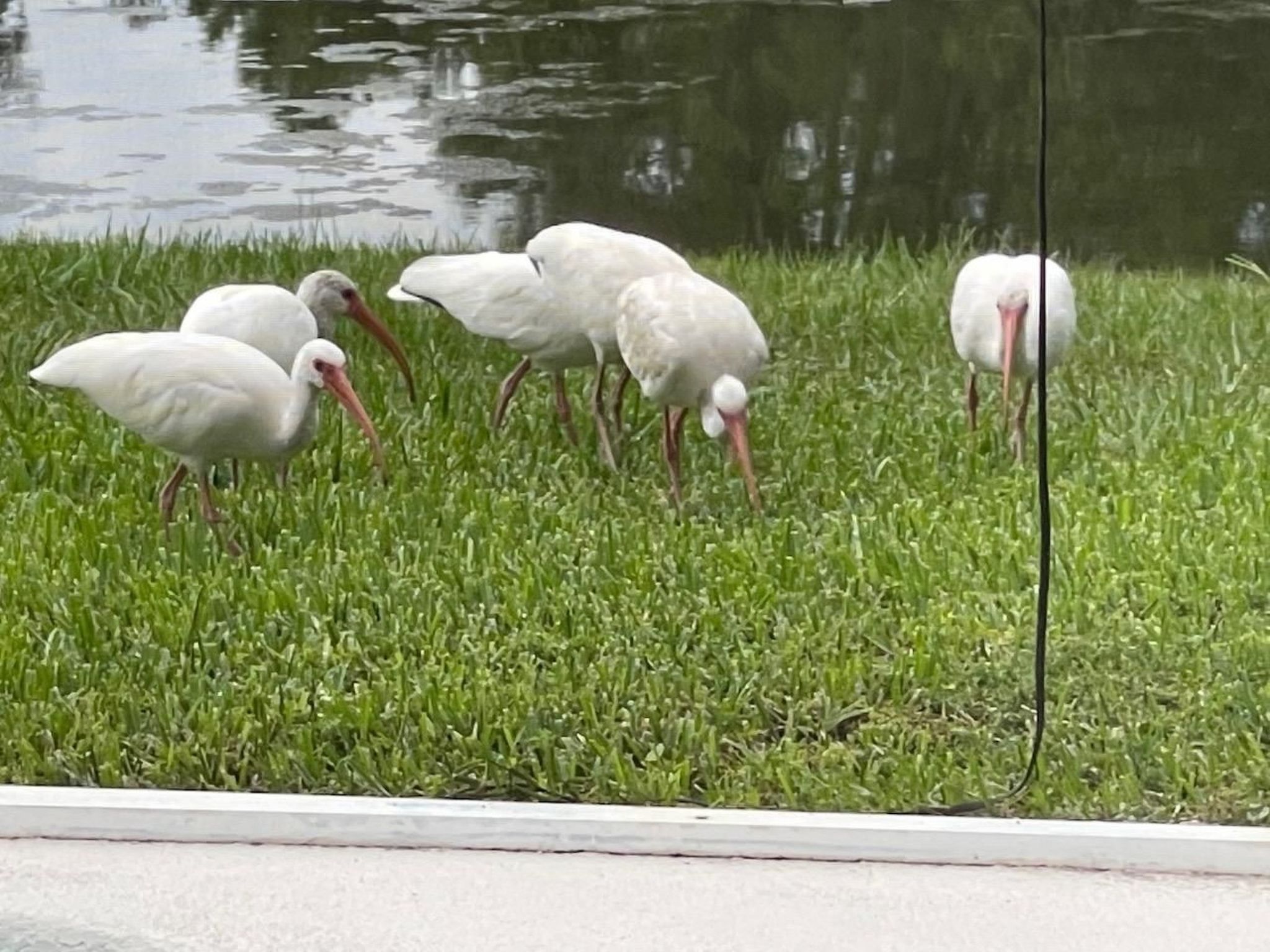 Photo of Familienfreundliche Villa nahe der Disney-Parks