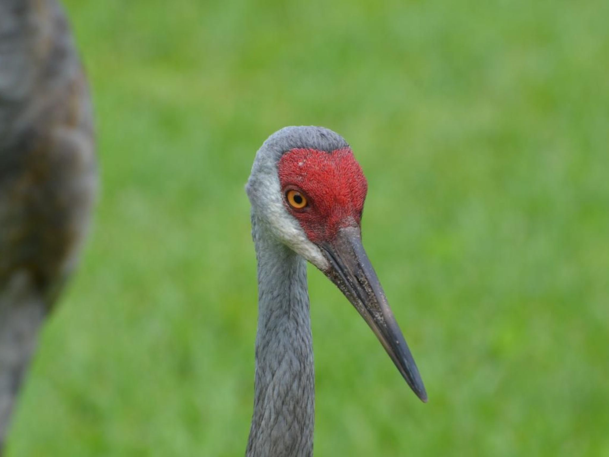 Photo of Familienfreundliche Villa nahe der Disney-Parks