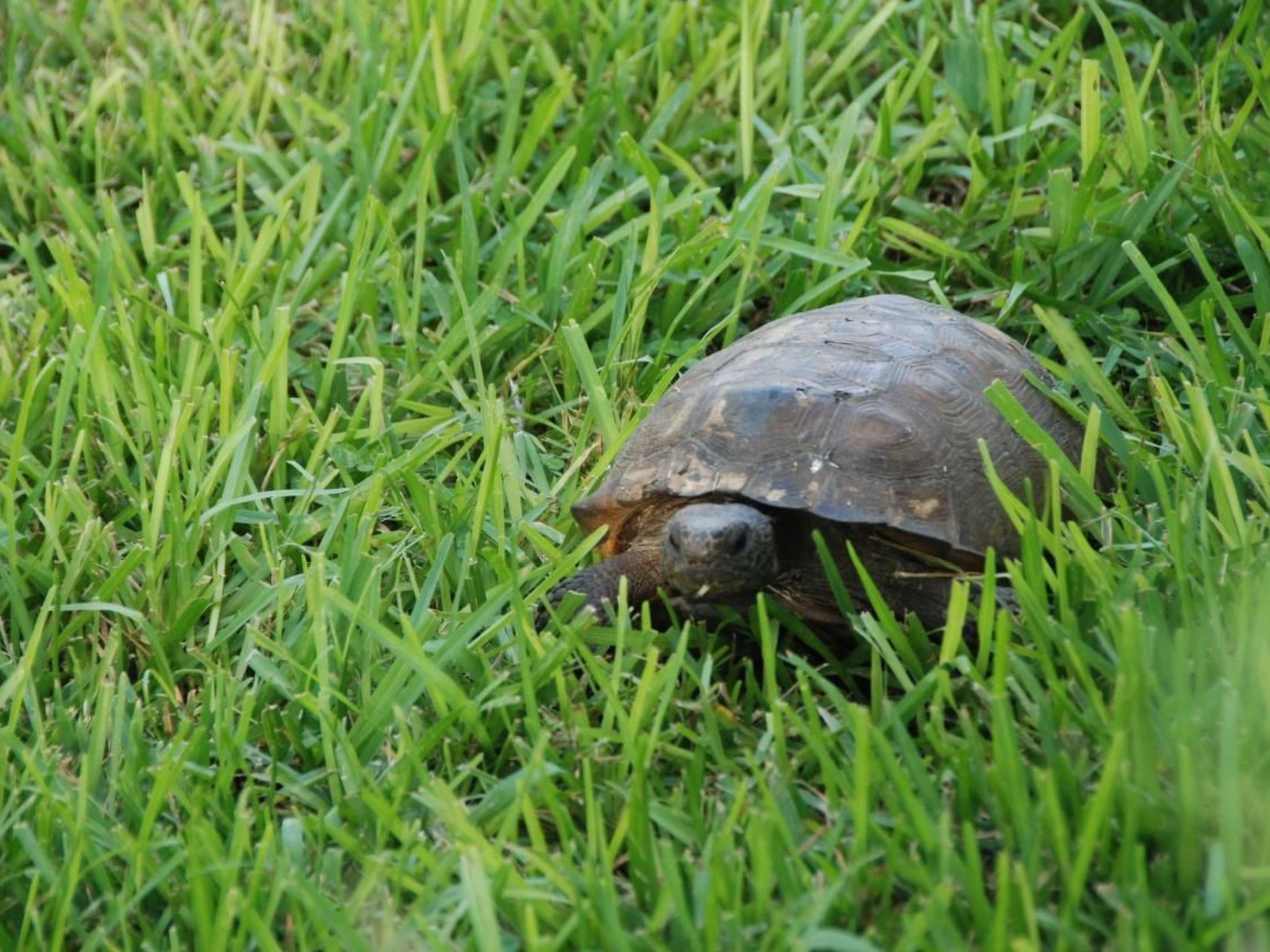 Photo of Familienfreundliche Villa nahe der Disney-Parks