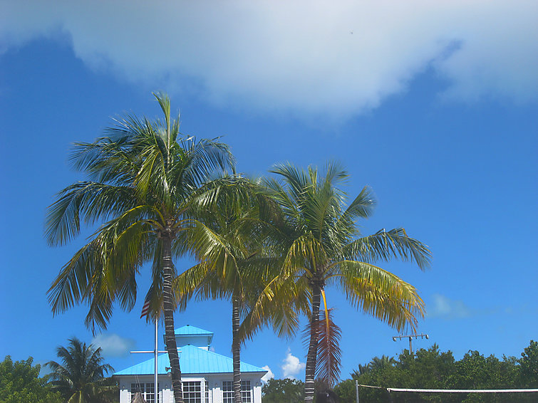 Ocean Pointe Resort Translation missing: city_breaks_en.helpers.properties.accommodation_type.holiday_resort in Key Largo