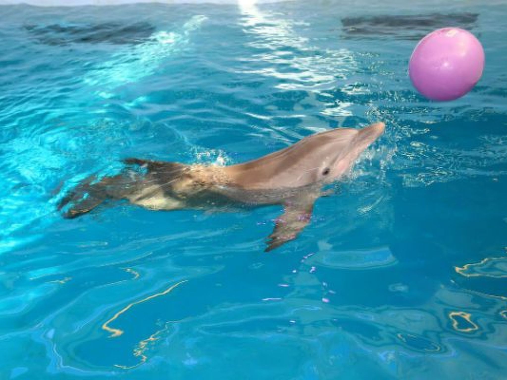 Photo of Neu renoviert in geschlossener Wohnanlage, erschwinglich - nur wenige Minuten v