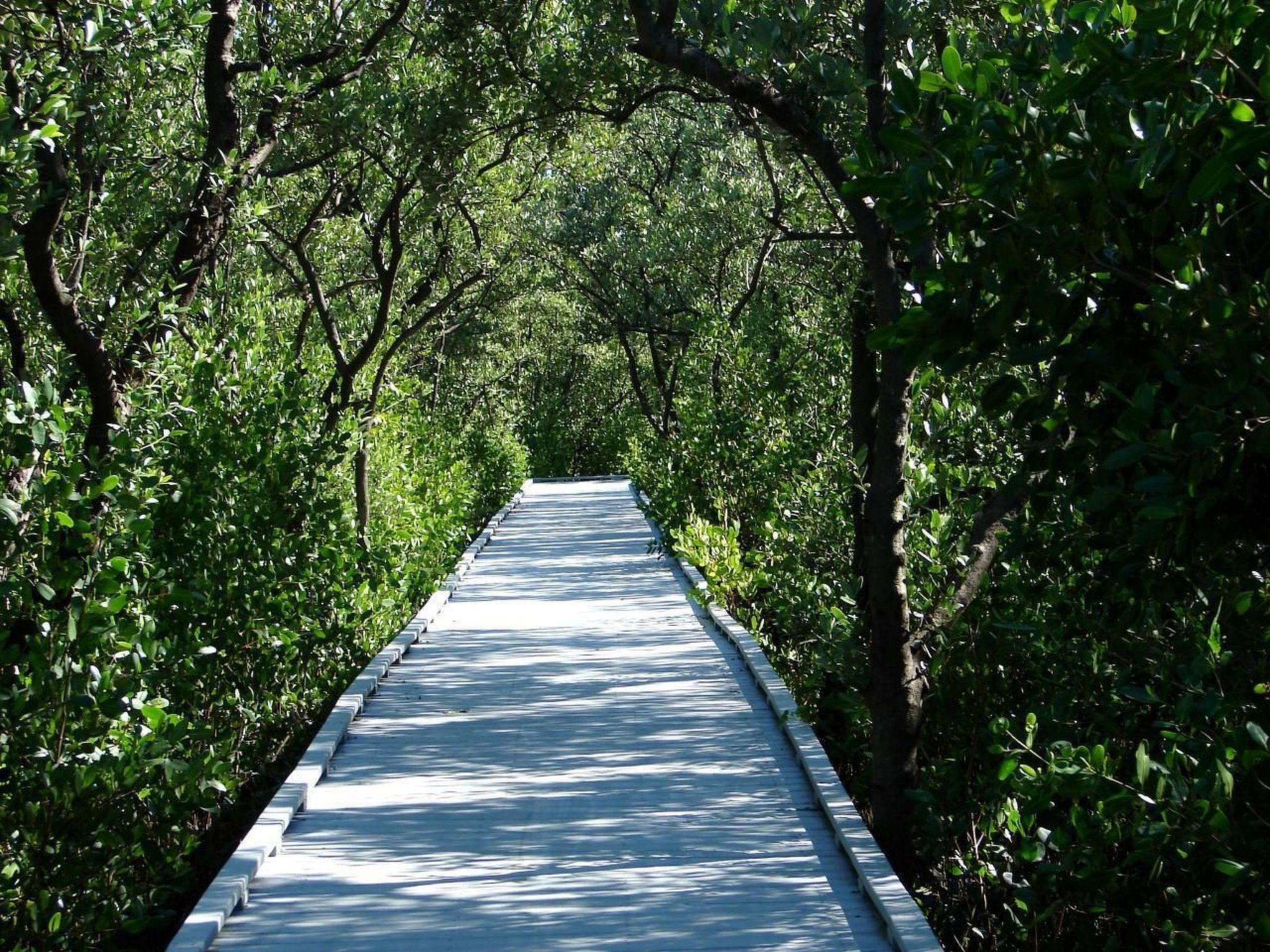 Villa Still Waters – Stilte, ruimte en privézwembad in Cape Coral - foto 37