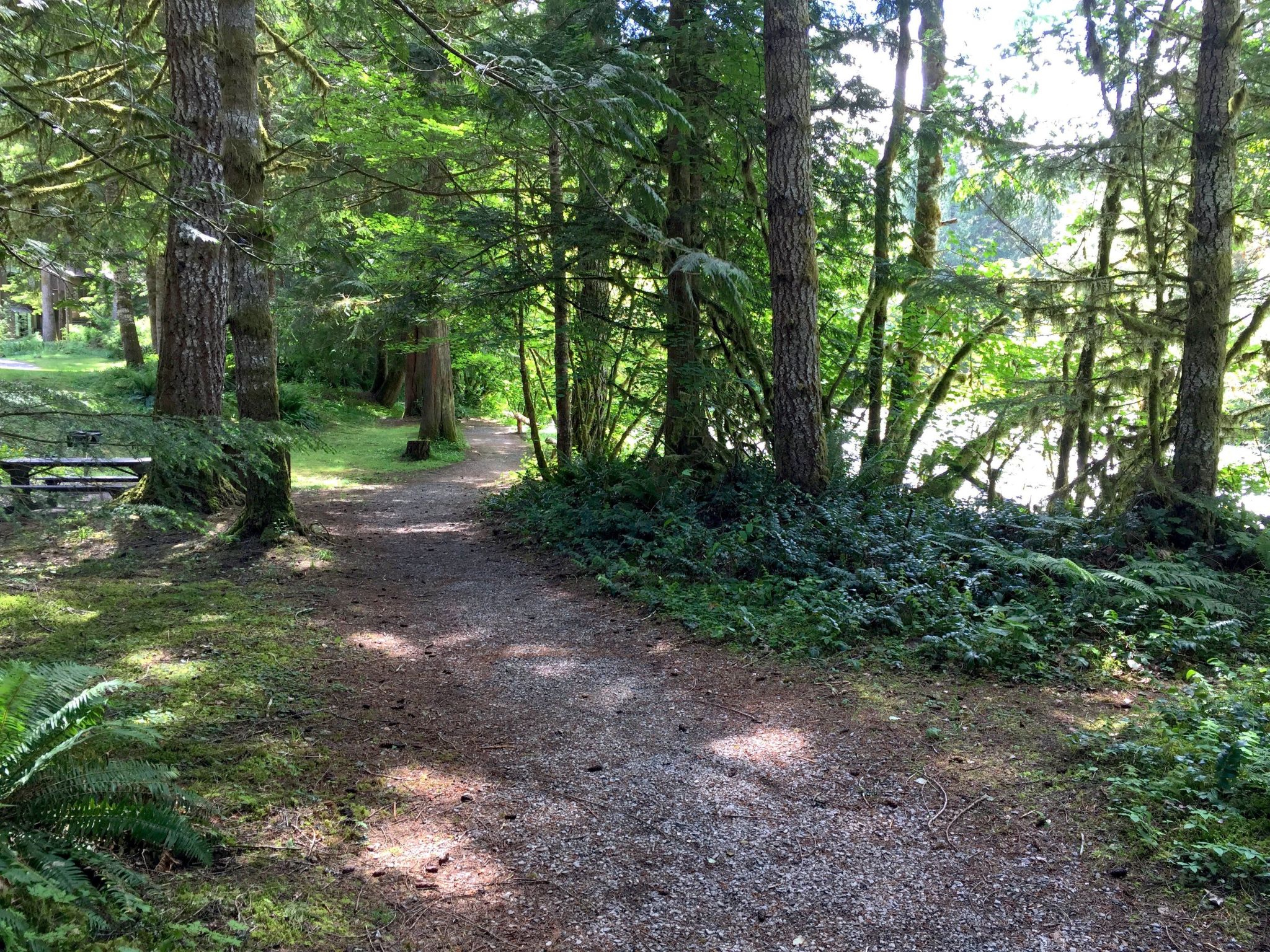 Willkommen im haustierfreundlichen Camp Kulshan