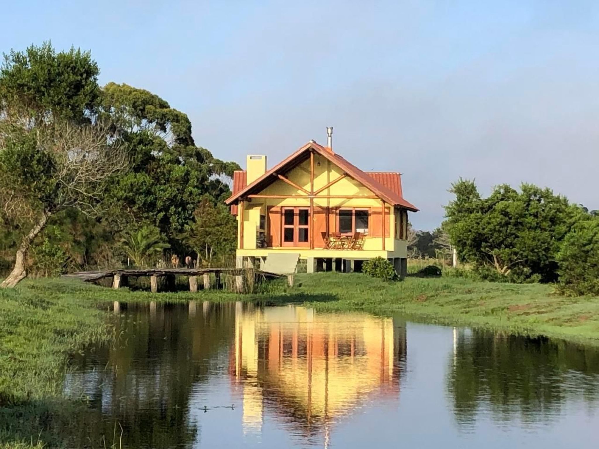 La Ranita Negra Casa Luciole