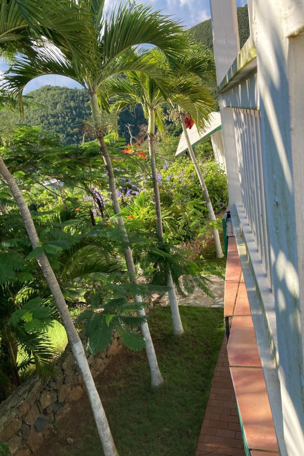 Appartement Landschaftliches Hügelparadies – Extérieur de la maison, photo 13 sur 19